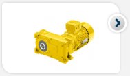 Parallel shaft geared motors