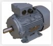 Standard motors with IP 55 protection