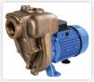 Self priming bronze centrifugal pumps