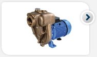 Self priming pumps