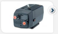 Dry running rotary vane vacuum pumps