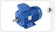 Explosion proof motors