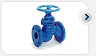 Globe valves