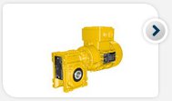 Worm geared motors