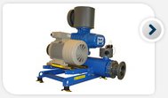 Rotary blowers