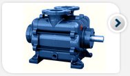 Liquid ring vacuum pump