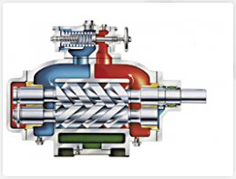 Two screw pump