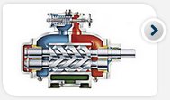 Screw pumps